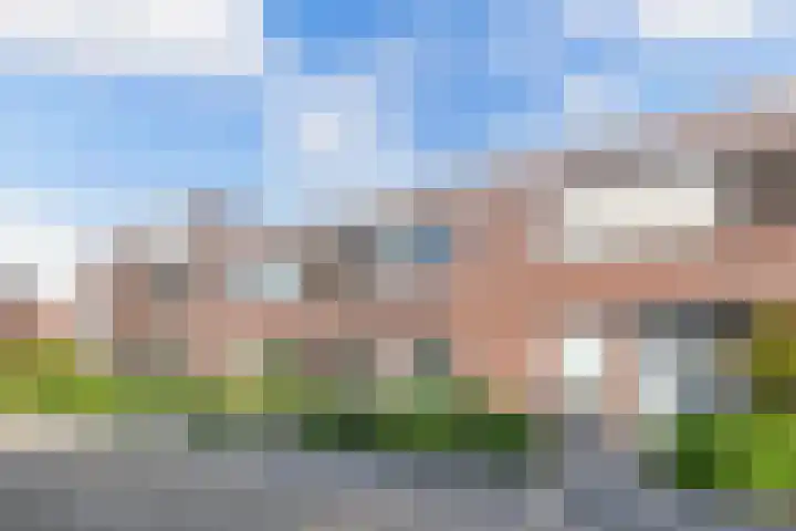 Topaas 45 Drachten thumbnail 4