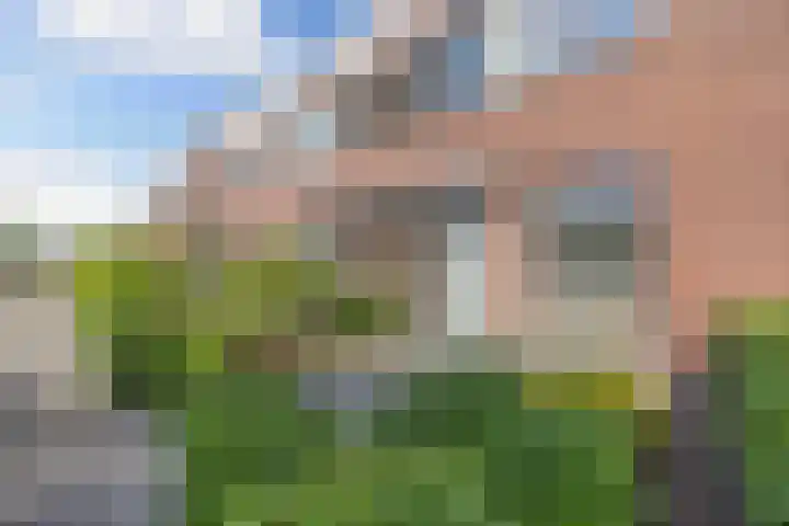 Topaas 45 Drachten thumbnail 5