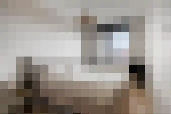 Topaas 6 Zevenbergen thumbnail 14