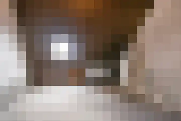Topaas 6 Zevenbergen thumbnail 21