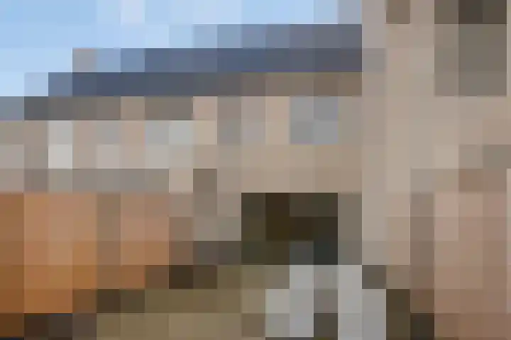 Topaas 6 Zevenbergen thumbnail 23
