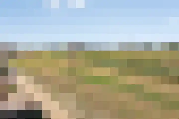 Topaas 6 Zevenbergen thumbnail 25
