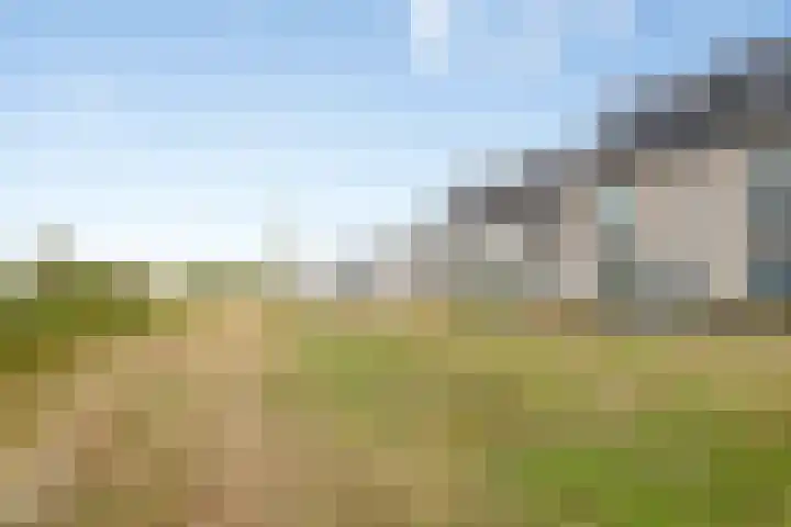 Topaas 6 Zevenbergen thumbnail 26