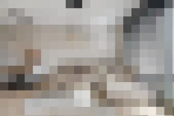 Topaas 6 Zevenbergen thumbnail 7
