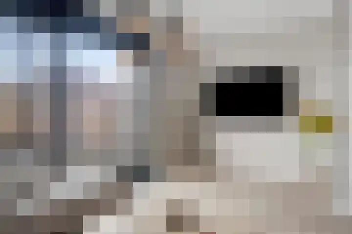 Topaas 6 Zevenbergen thumbnail 8
