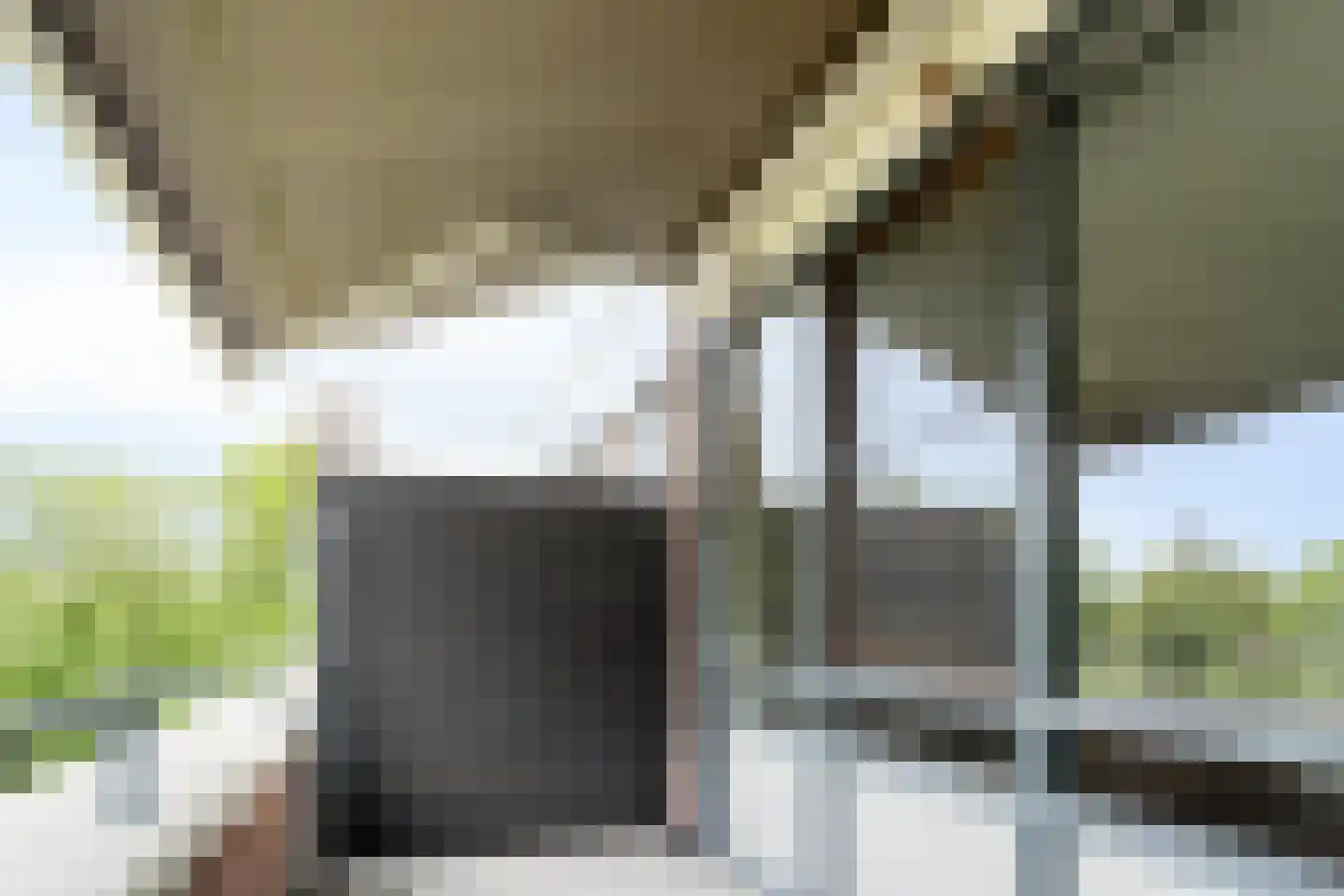 Topaas 80 Drachten thumbnail 28