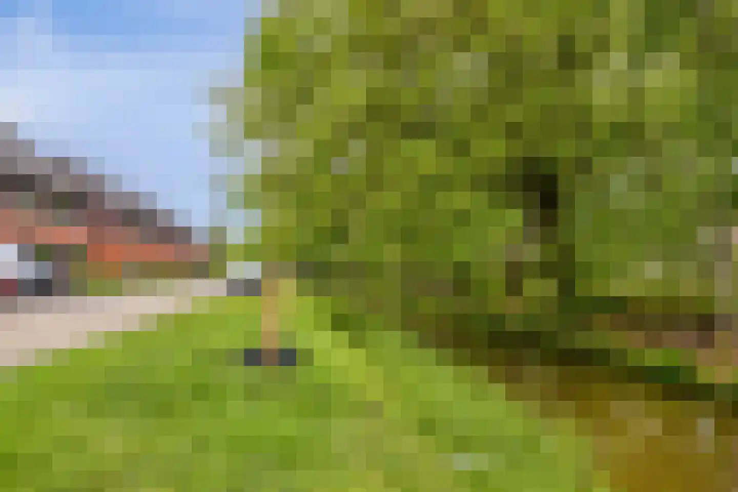 Topaas 80 Drachten thumbnail 53