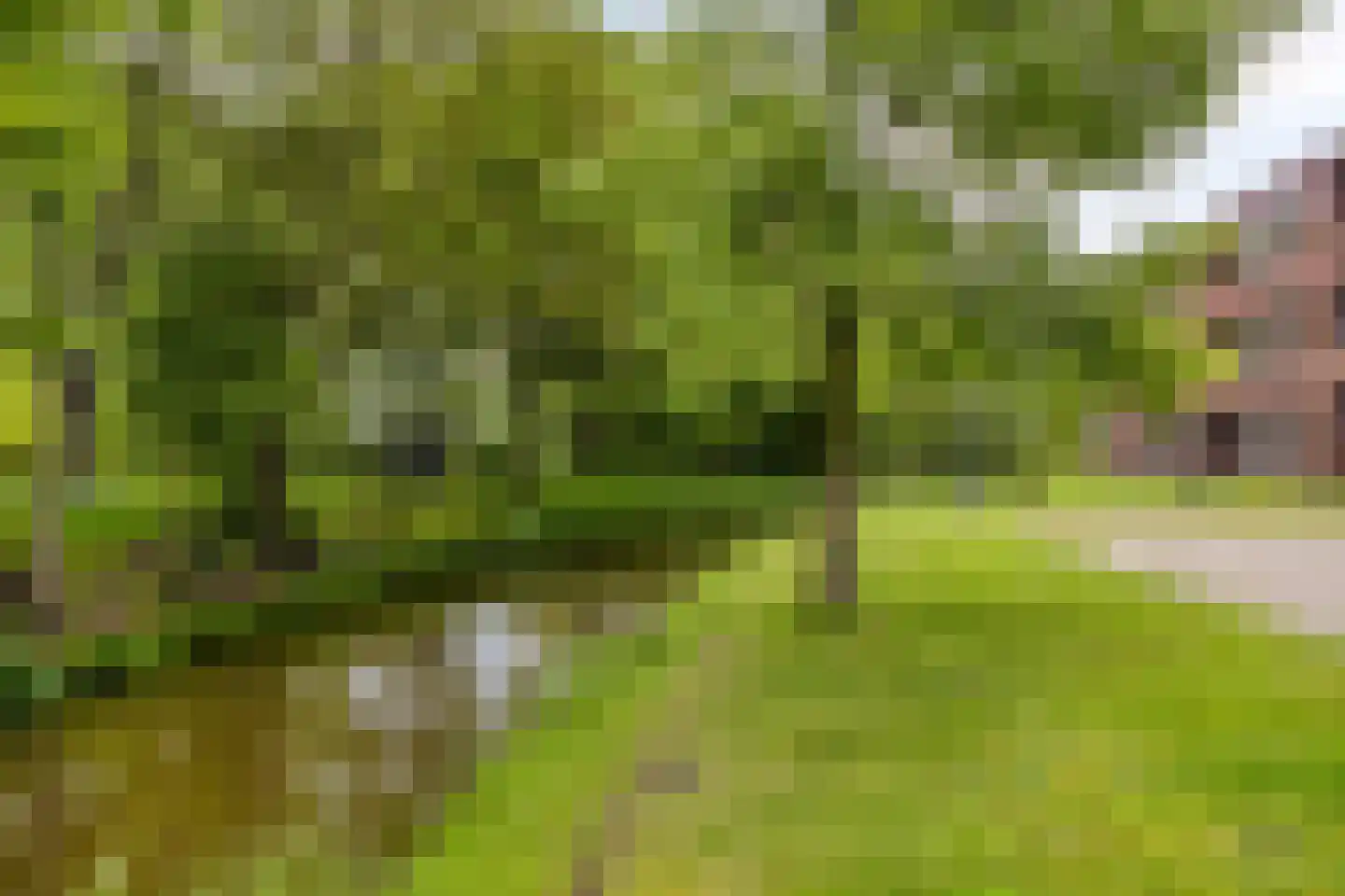 Topaas 80 Drachten thumbnail 54