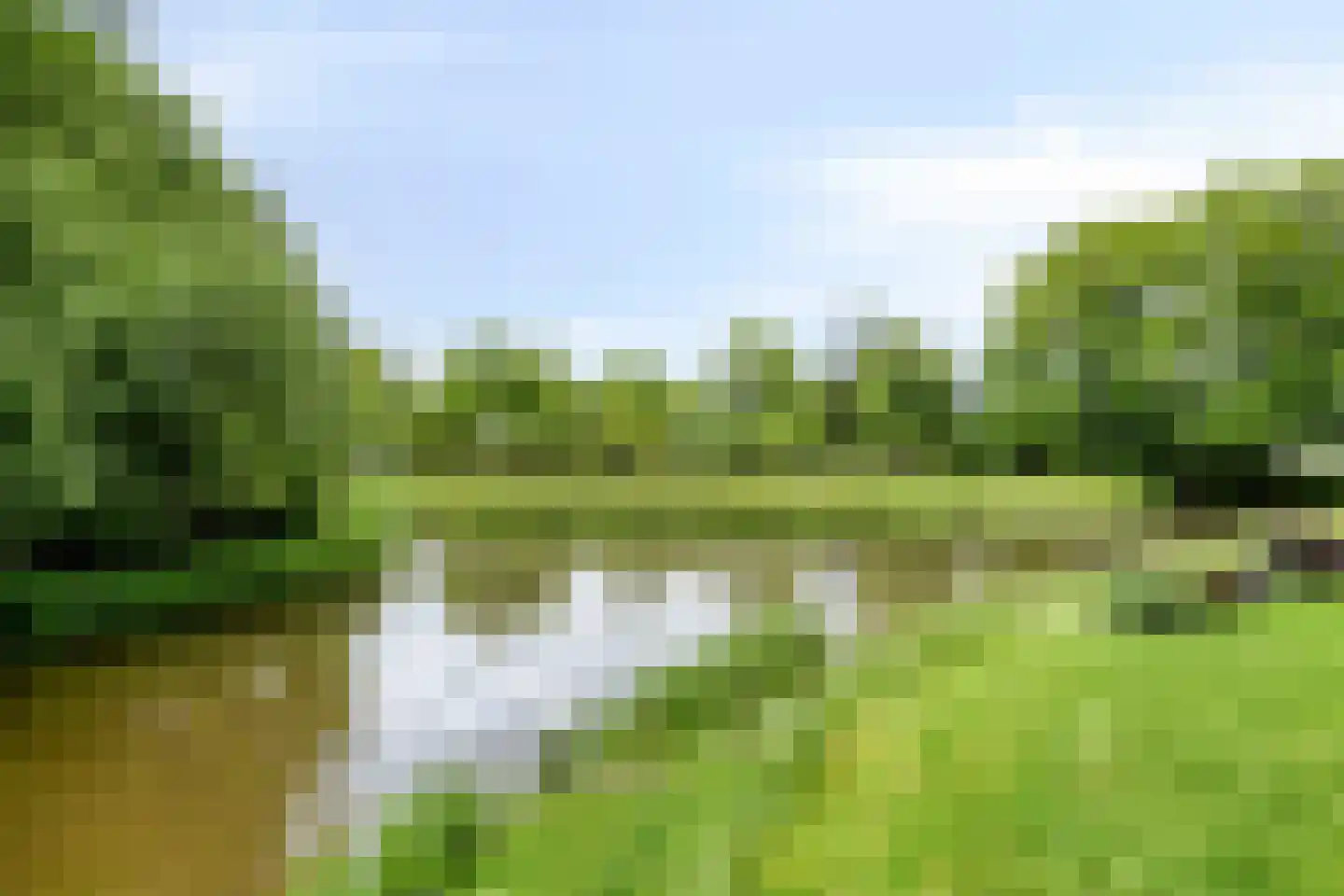 Topaas 80 Drachten thumbnail 57