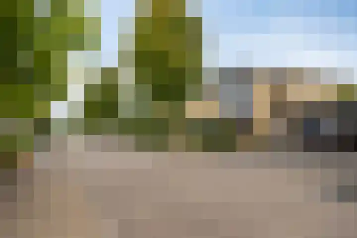 Topaasdijk 68 Roosendaal thumbnail 32