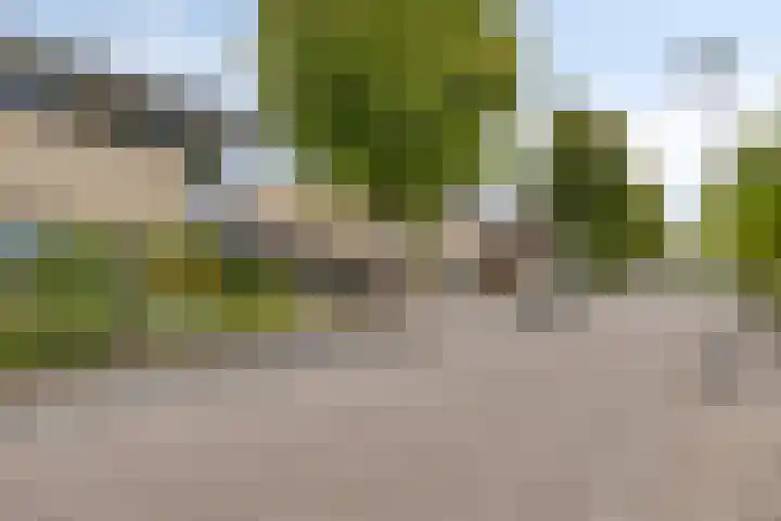 Topaasdijk 68 Roosendaal thumbnail 33