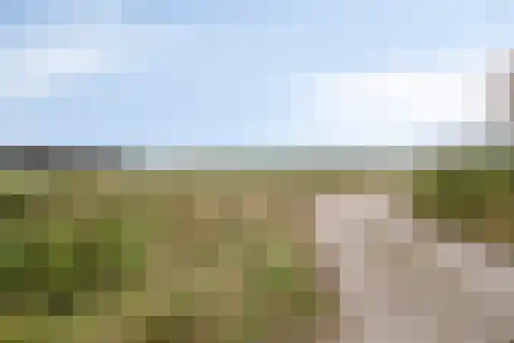 Topaasdijk 68 Roosendaal thumbnail 34