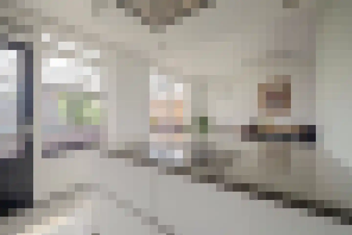 Topaasdreef 12 Emmen thumbnail 10
