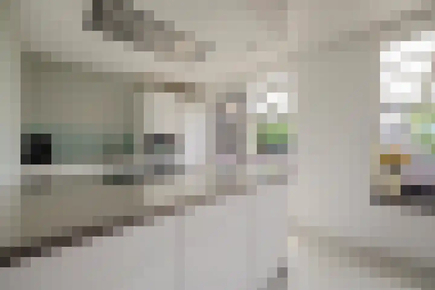 Topaasdreef 12 Emmen thumbnail 13