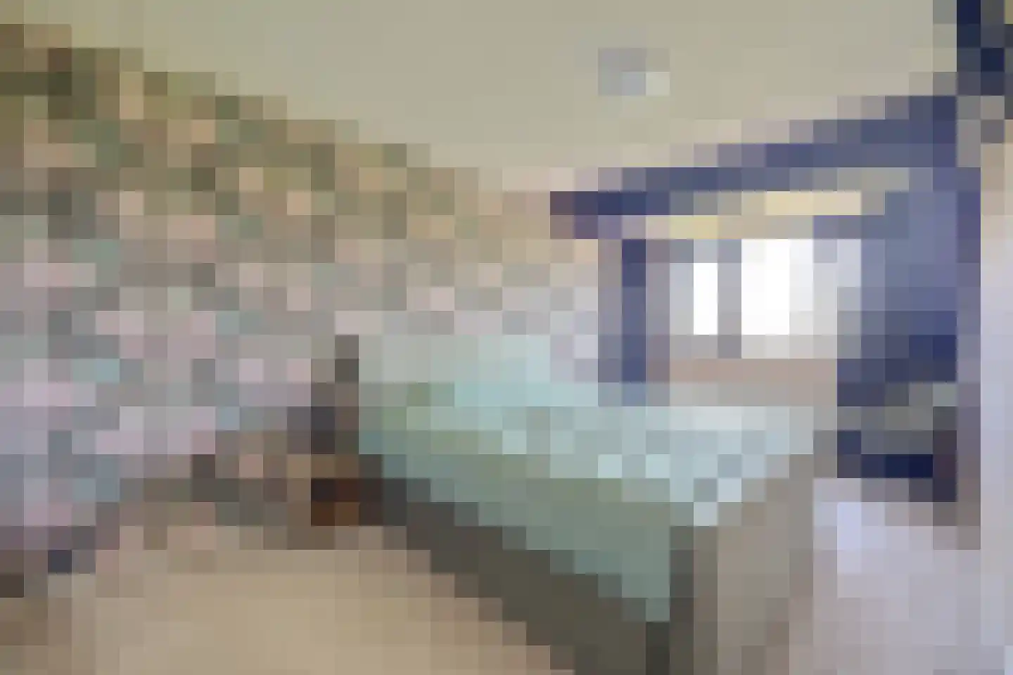 Topaasdreef 12 Emmen thumbnail 17
