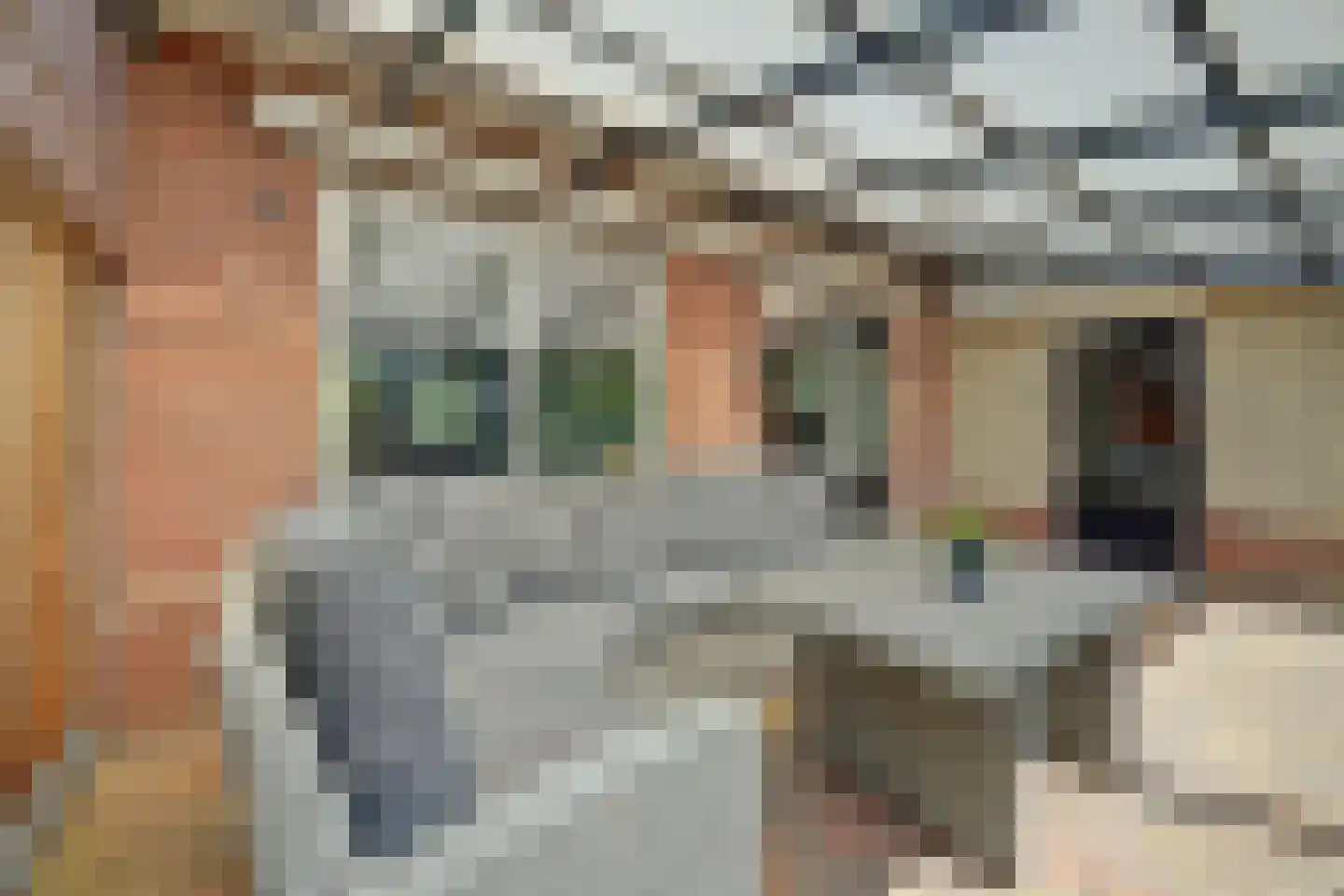 Topaasdreef 12 Emmen thumbnail 33