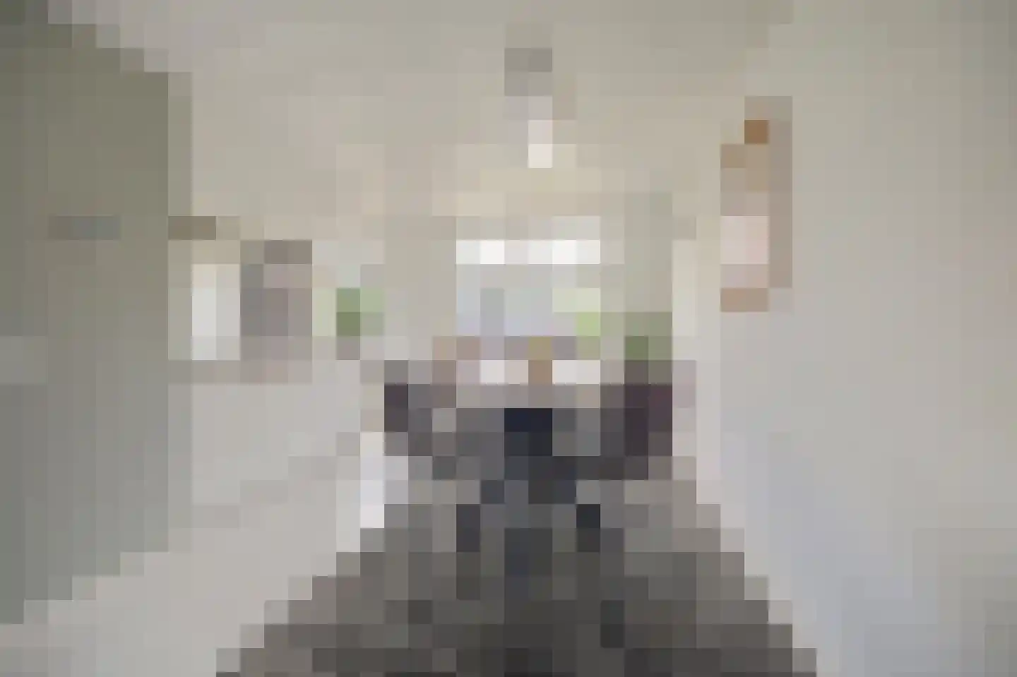 Topaasdreef 12 Emmen thumbnail 7