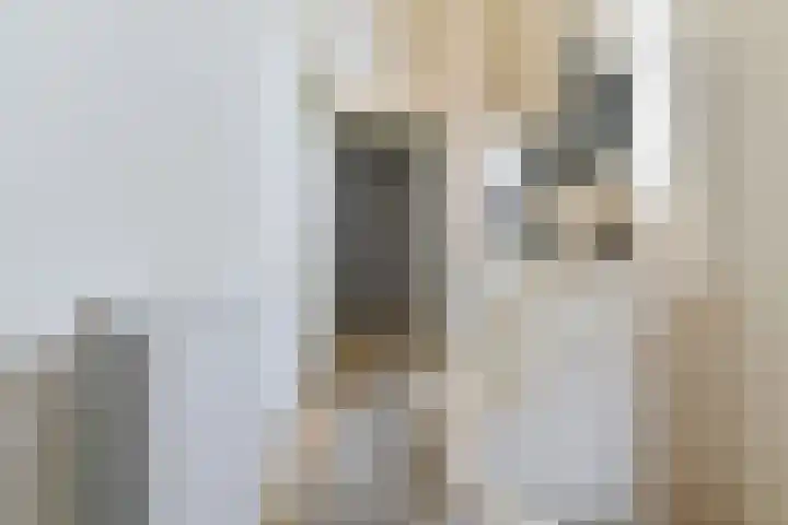 Topaasdreef 15 Emmen thumbnail 11