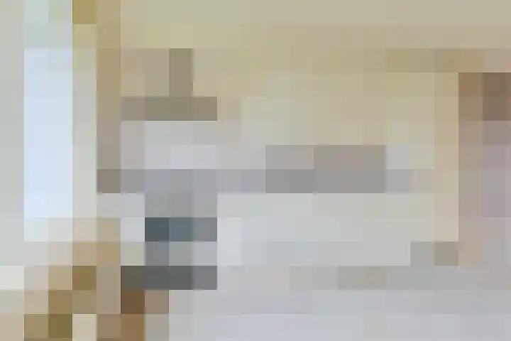 Topaasdreef 15 Emmen thumbnail 20