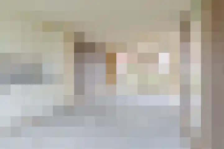 Topaasdreef 15 Emmen thumbnail 21