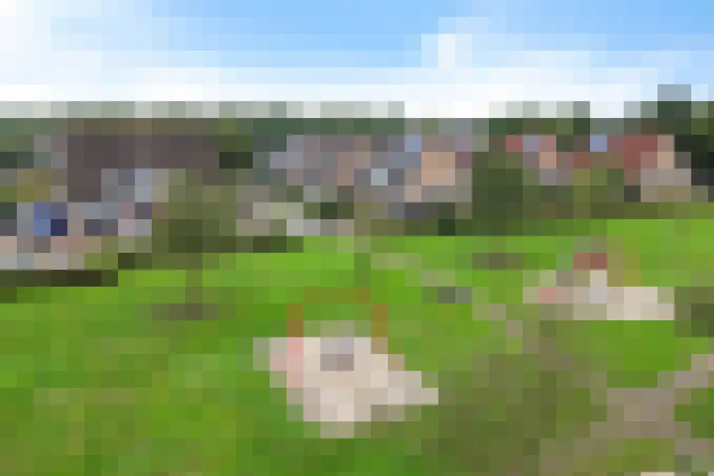 Topaasdreef 15 Emmen thumbnail 29