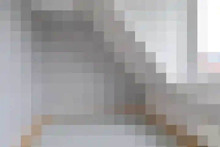Topaasdreef 15 Emmen thumbnail 38
