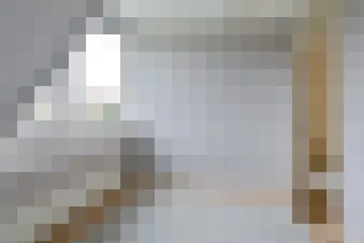 Topaasdreef 15 Emmen thumbnail 39