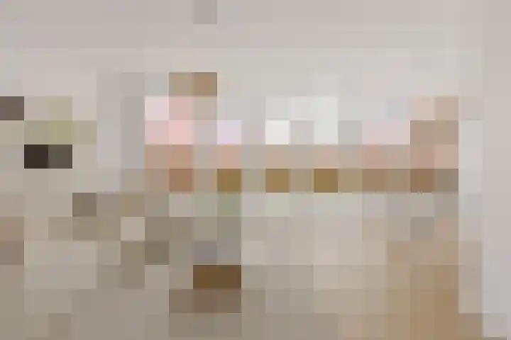 Topaasdreef 15 Emmen thumbnail 4