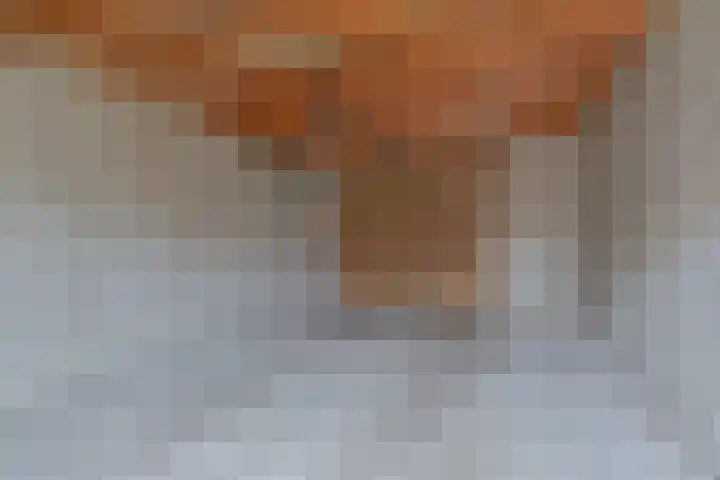 Topaasdreef 15 Emmen thumbnail 41