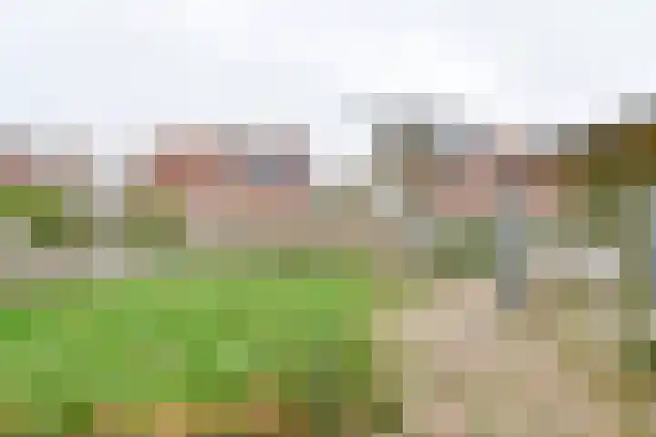 Topaasdreef 15 Emmen thumbnail 43