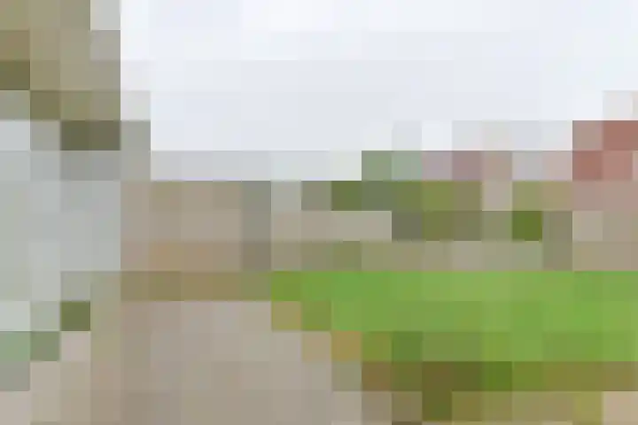 Topaasdreef 15 Emmen thumbnail 45