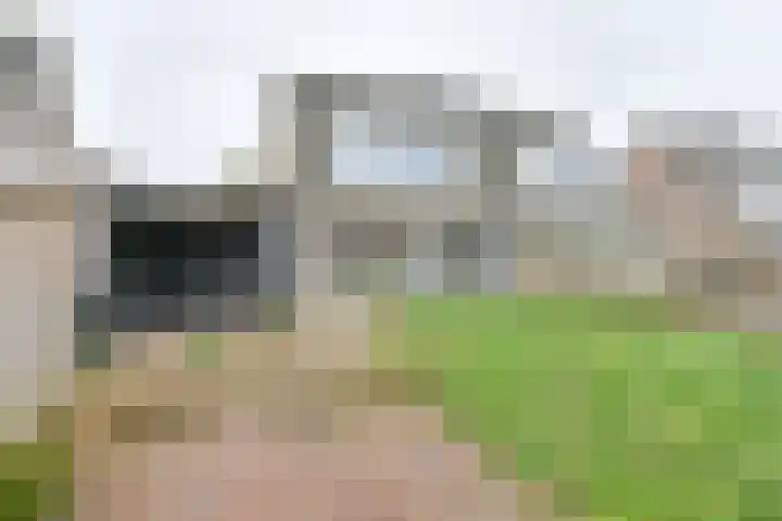 Topaasdreef 15 Emmen thumbnail 46