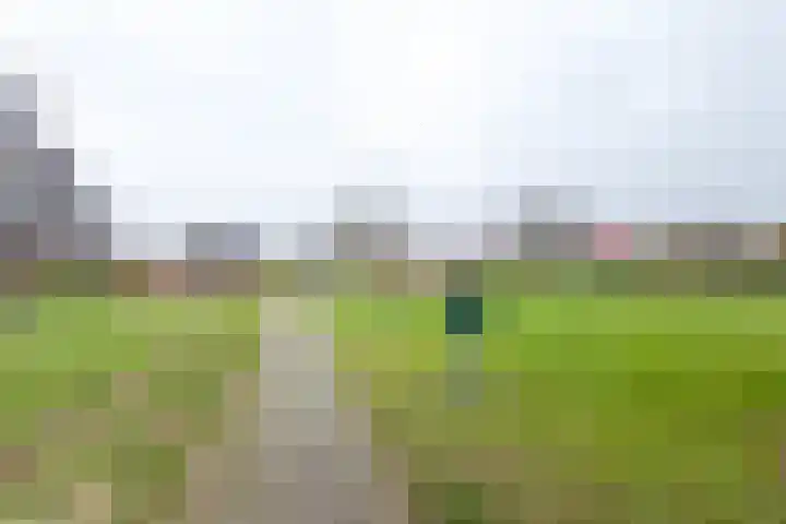 Topaasdreef 15 Emmen thumbnail 47