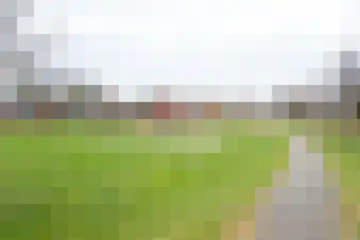 Topaasdreef 15 Emmen thumbnail 49