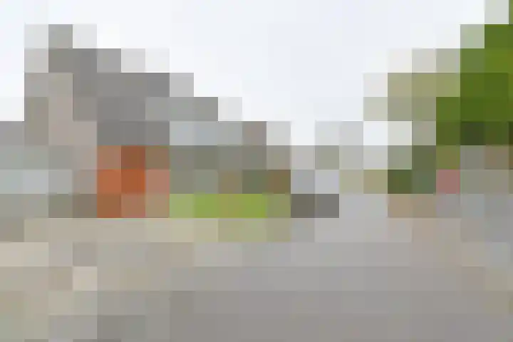 Topaasdreef 15 Emmen thumbnail 50