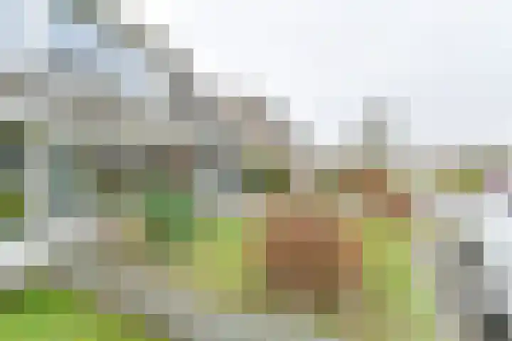 Topaasdreef 15 Emmen thumbnail 51
