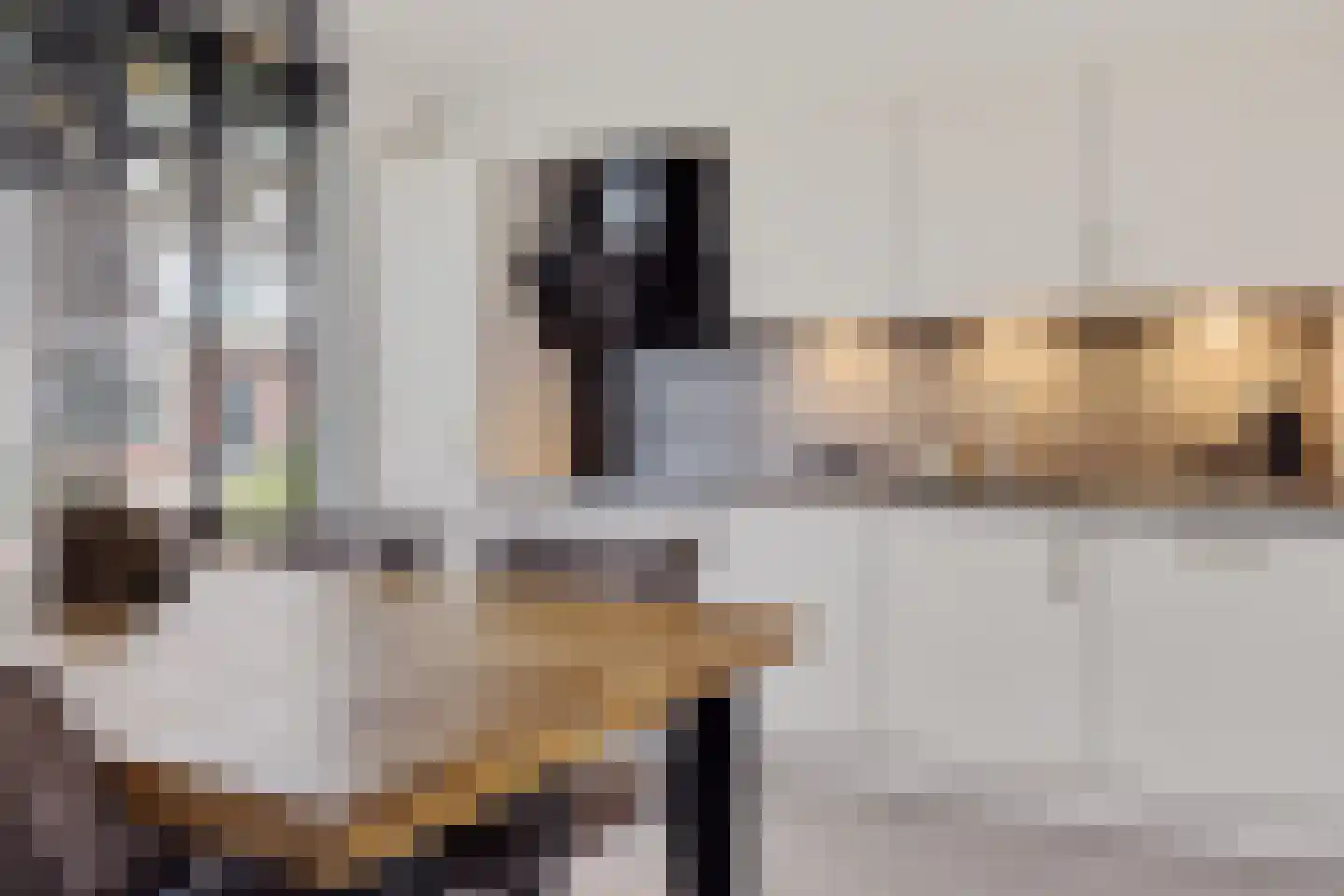 Topaasdreef 15 Emmen thumbnail 7
