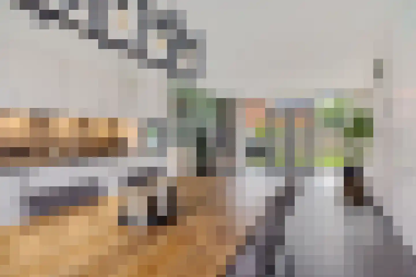 Topaasdreef 15 Emmen thumbnail 8