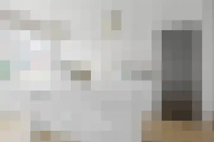 Topaasdreef 15 Emmen thumbnail 8