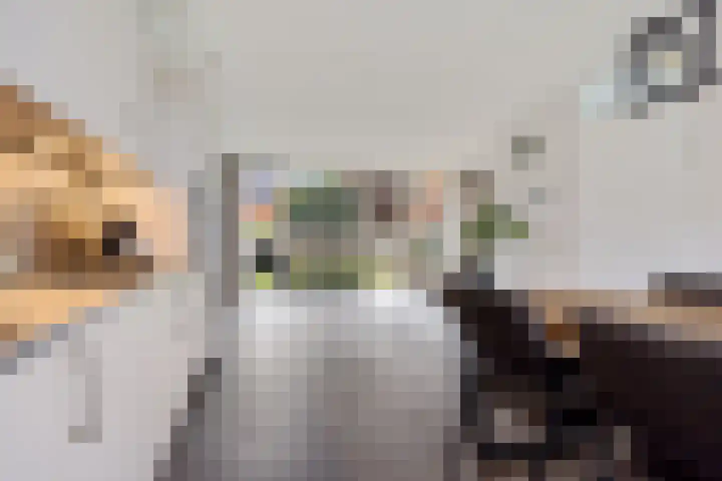 Topaasdreef 15 Emmen thumbnail 9