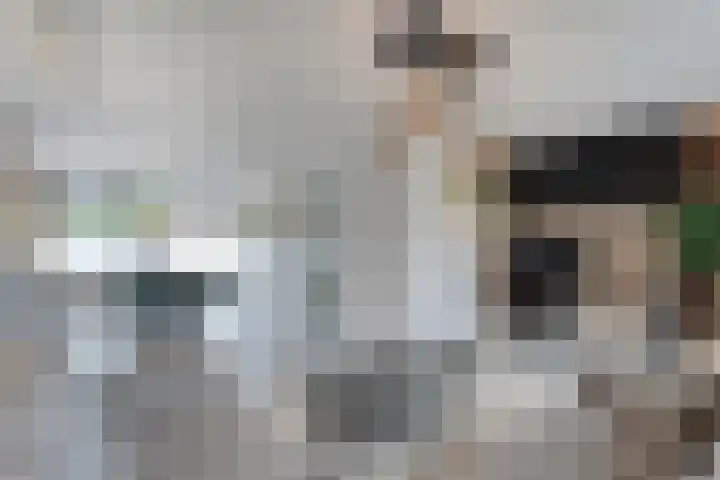 Topaasdreef 9 Emmen thumbnail 15
