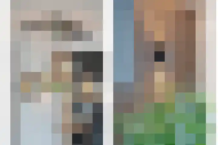 Topaasdreef 9 Emmen thumbnail 16