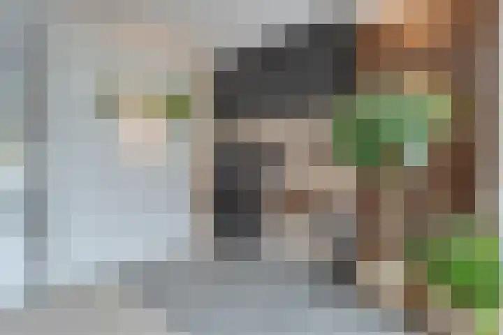 Topaasdreef 9 Emmen thumbnail 25