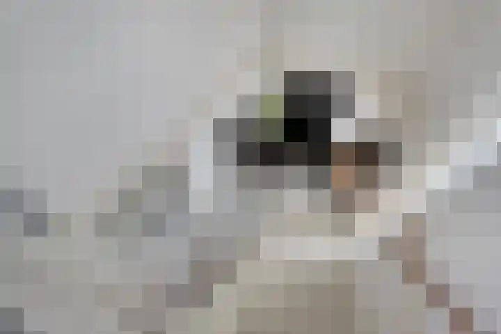 Topaasdreef 9 Emmen thumbnail 27