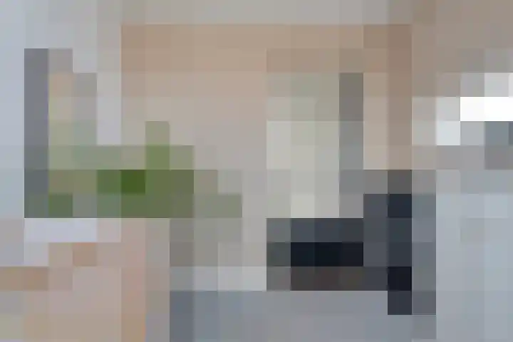Topaasdreef 9 Emmen thumbnail 28