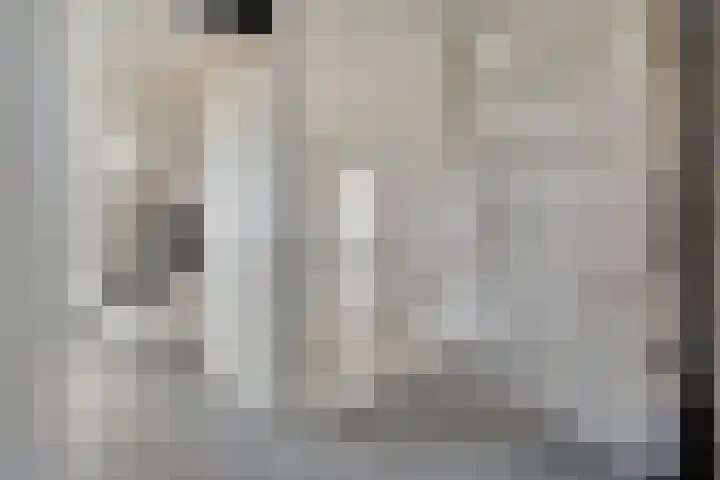 Topaasdreef 9 Emmen thumbnail 30
