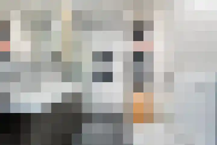Topaasdreef 9 Emmen thumbnail 36