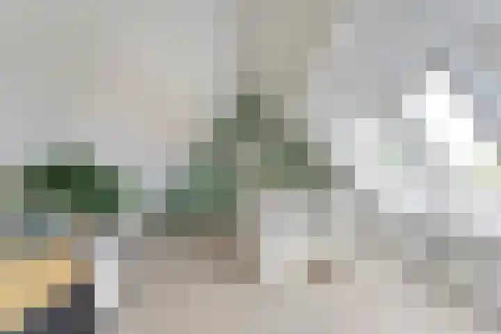 Topaasdreef 9 Emmen thumbnail 39
