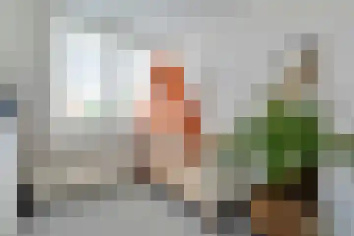 Topaasdreef 9 Emmen thumbnail 43