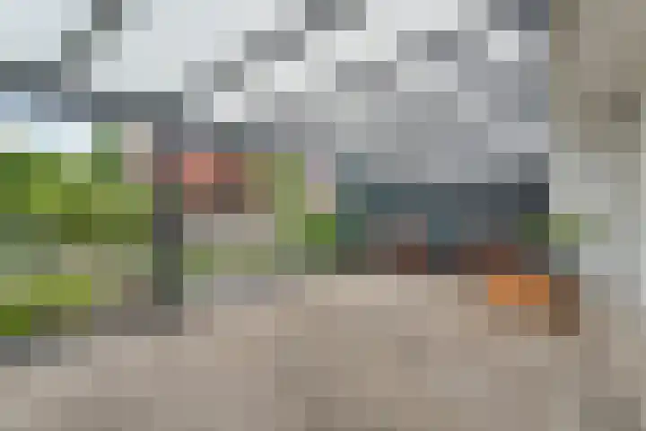 Topaasdreef 9 Emmen thumbnail 46